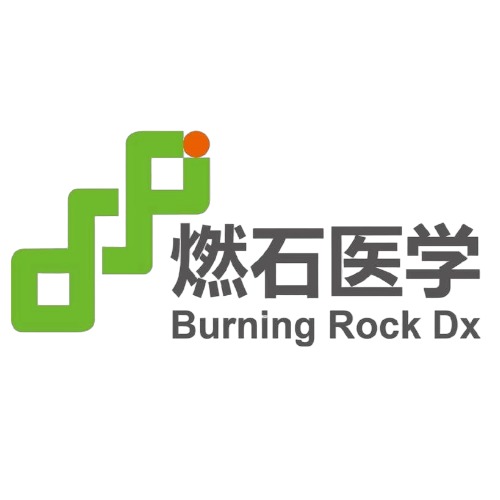燃石医学